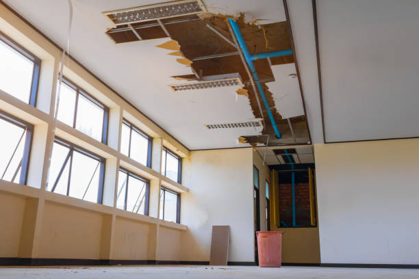 Best Commercial water damage restoration  in Mauston, WI
