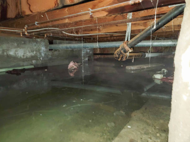  Mauston, WI Water damage restoration Pros