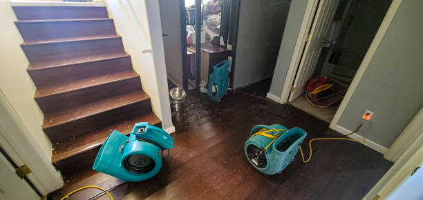 Professional Water damage restoration in WI