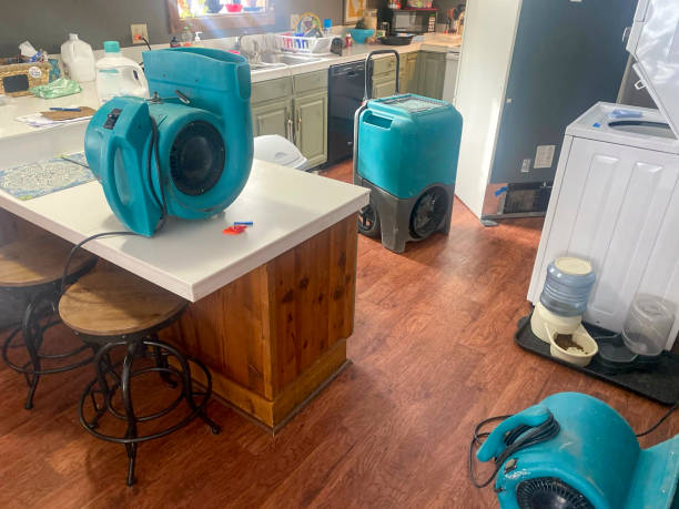 Best Water damage restoration services  in Mauston, WI