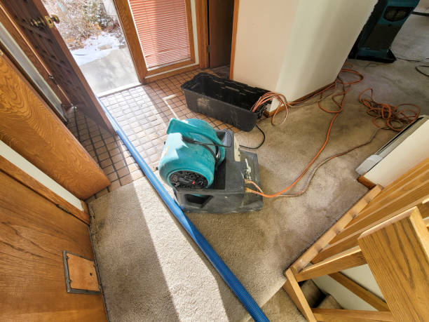 Best Flooded house restoration  in Mauston, WI