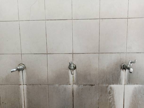 Best Fire Damage Restoration  in Mauston, WI