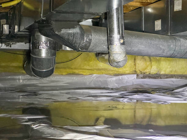 Best Flood damage cleanup  in Mauston, WI