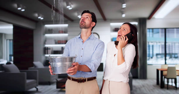 Best Water damage contractors near me  in Mauston, WI