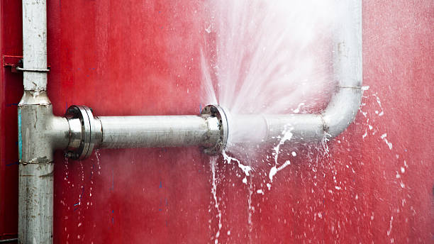 Best Ceiling water damage repair  in Mauston, WI