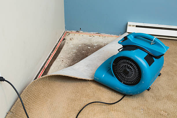 24/7 water damage repair in WI